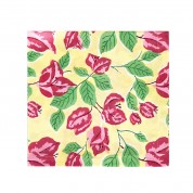 Juan Napkins (6 pieces a pack)